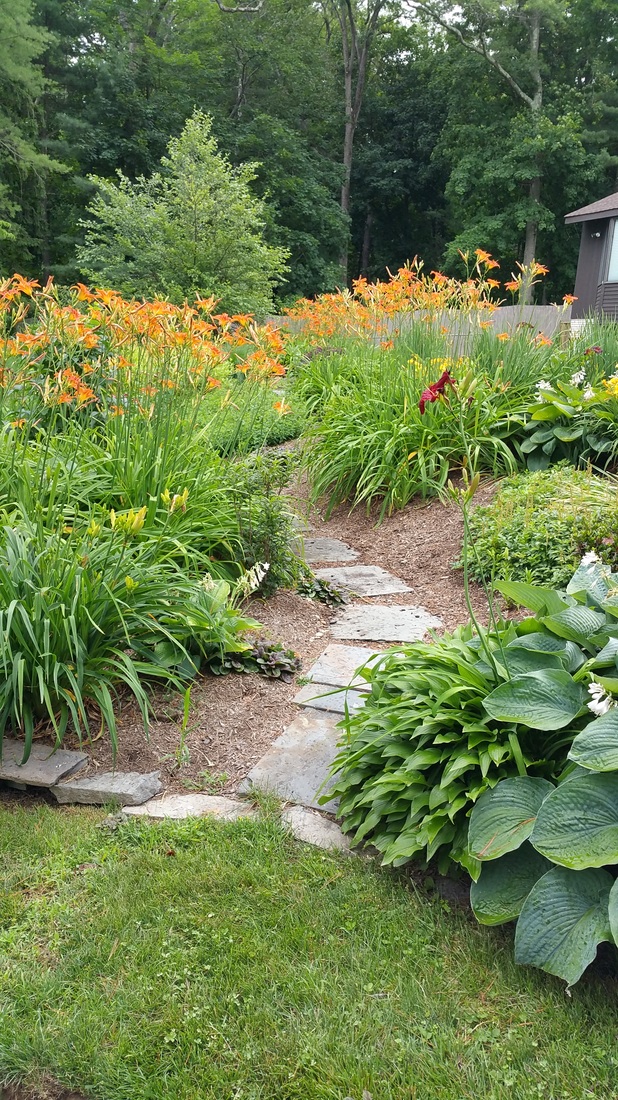 Day Lily Garden
