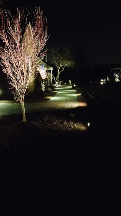 Blue Stone Walkway with Landscape Lighting