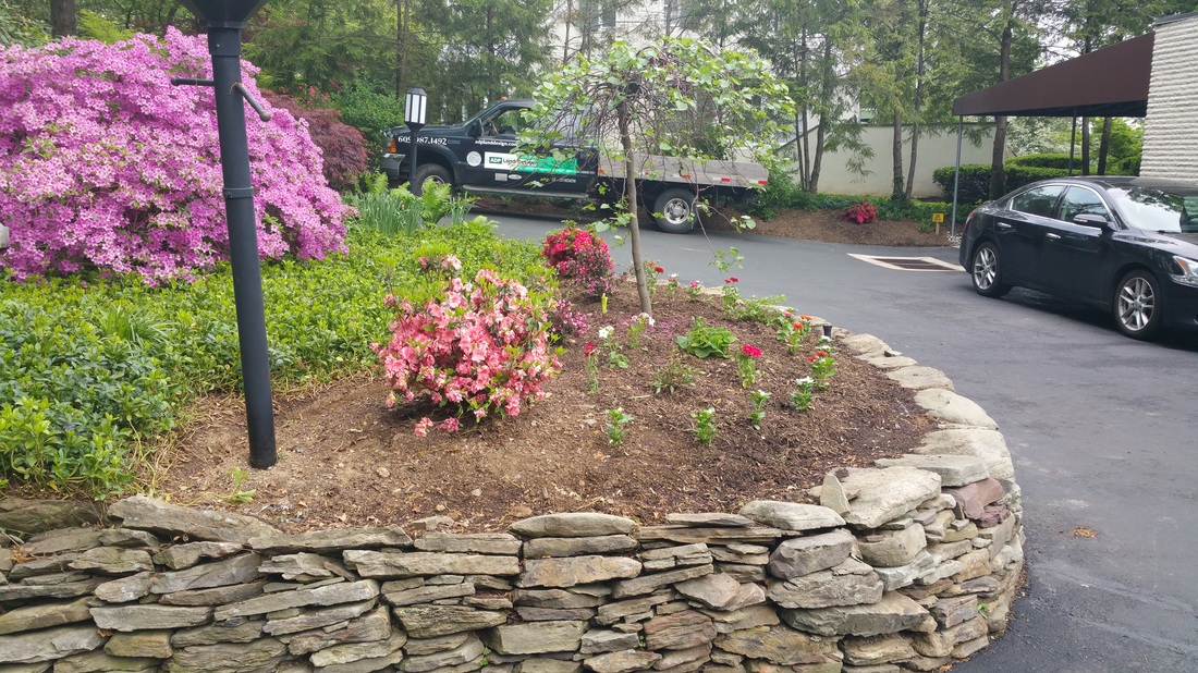 Stone Wall Garden Bed